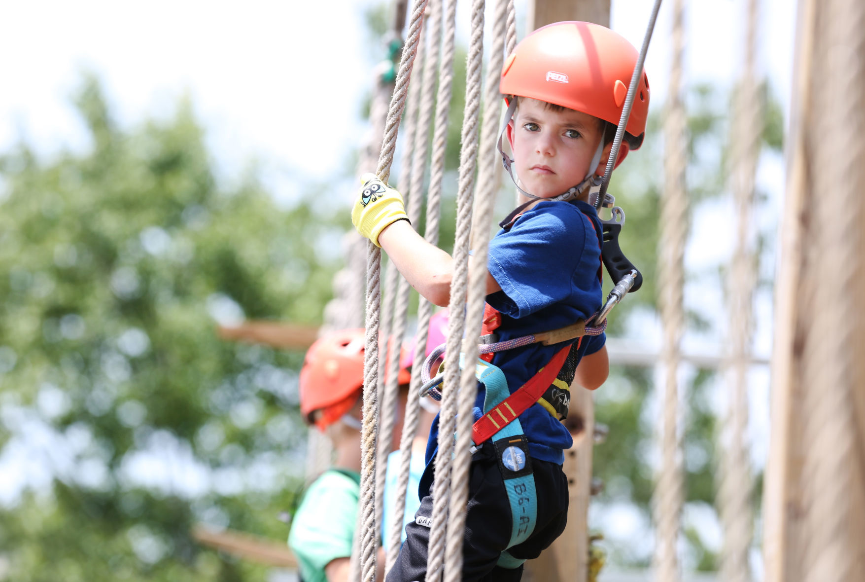 Treetop Quest